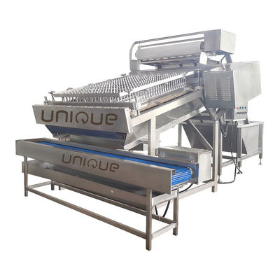 Acier inoxydable 304 crevettes éplucheuses crevettes éplucheuses machine à éplucher la peau
