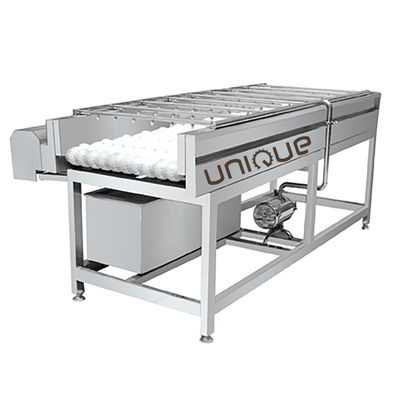 Machine à laver à la brosse de nettoyage des légumes-racines en acier inoxydable 304