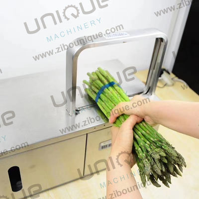 Plastique multi-usage Portable bande végétale de liaison de l'emballage de l'emballage de la bande de bandes de bandes de la machine de fixation