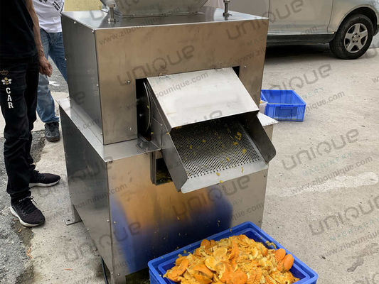 Extracteur de jus industriel en acier inoxydable 304 pour la transformation des agrumes frais, des citrons et des oranges
