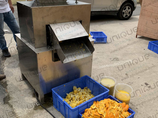 Machine de fabrication de jus de mangue