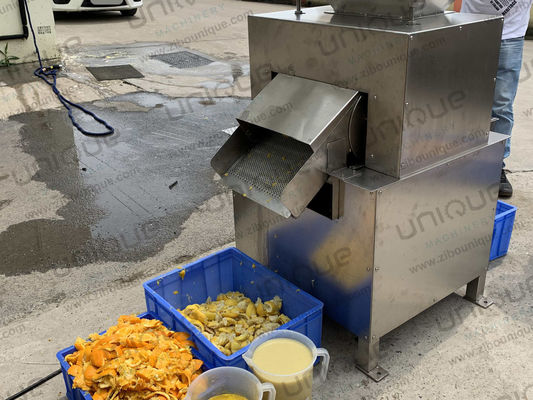 Machine de fabrication de jus de mangue