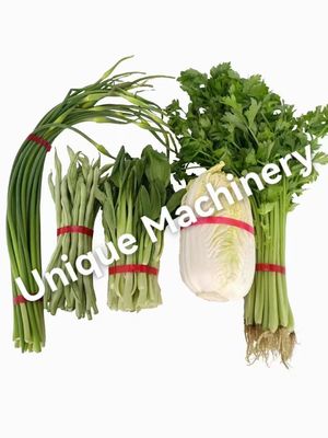 Facile à utiliser Machine automatique de liaison par induction pour les aliments et les légumes