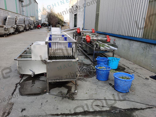 Machine à éliminer la coquille et à éplucher les germes de haricots mousses