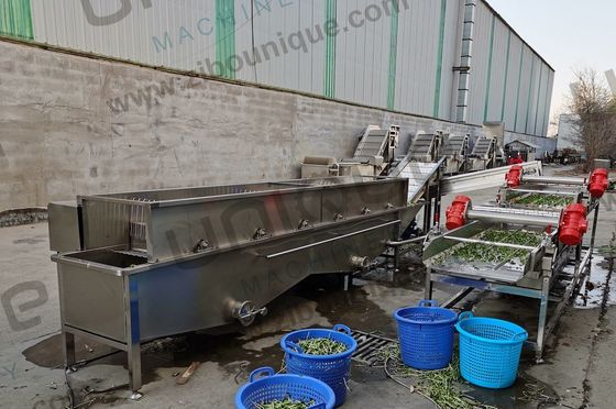 Conception de la machine à laver à bulles végétales Alfalfa / Micro Greens pour les magasins de boissons alimentaires