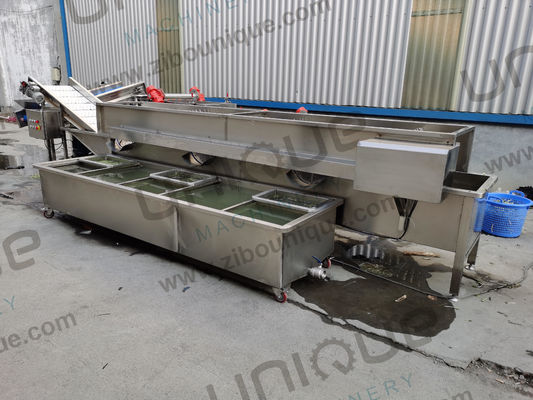 Conception de la machine à laver à bulles végétales Alfalfa / Micro Greens pour les magasins de boissons alimentaires