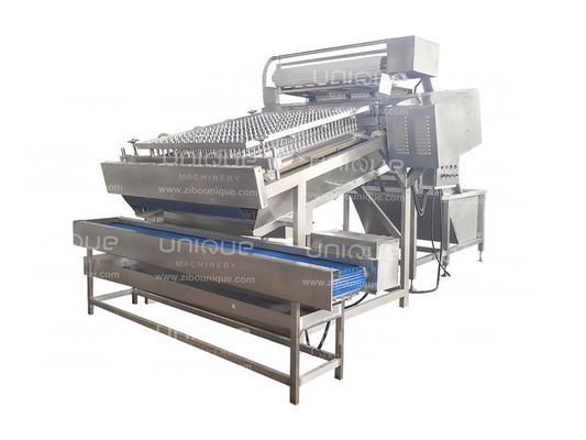 4kw automatique de crevettes tête de coquille enlevant peau machine de transformation des magasins de nourriture et de boissons