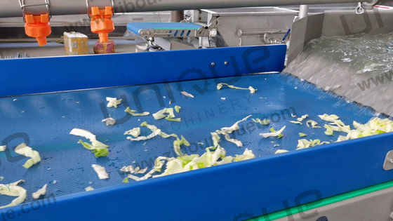 Ligne de transformation de légumes à feuilles de salade Amenez votre production de salade au niveau supérieur
