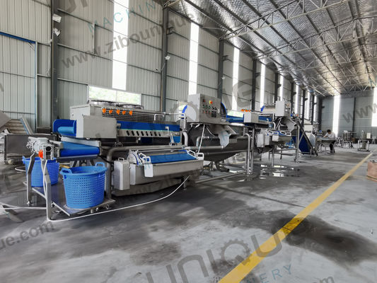 La transformation de la salade a facilité la machine à laver les légumes pour les bébés