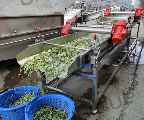 Machine à éliminer la coquille et à éplucher les germes de haricots mousses