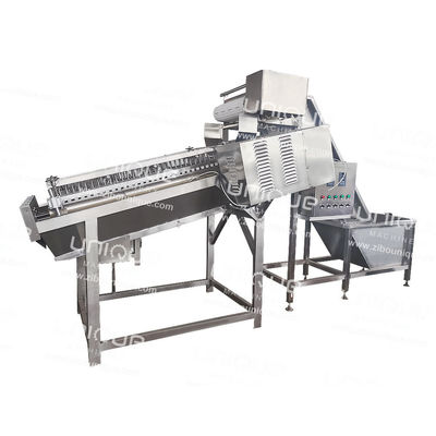 300 kg/h Capacité Machine de peeling de crevettes avec système de nettoyage de pointe