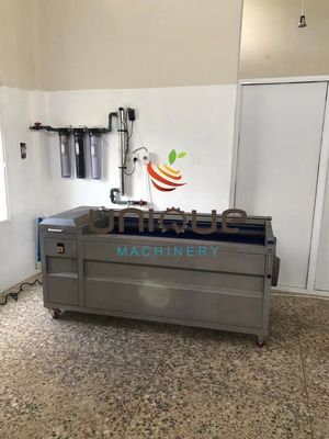 Pelleuse de pommes de terre électrique, machine à laver à rouleaux, machine à nettoyer à éplucher, nom de sortie, pommes de terre épluchées