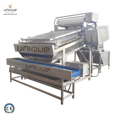 Machine à éplucher les crevettes de 300 kg/h