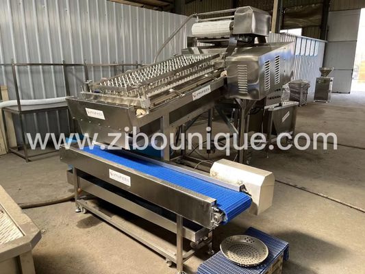 Machine à éplucher les crevettes de 300 kg/h