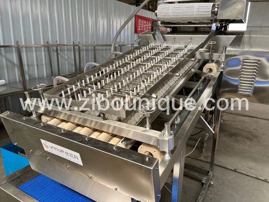Machine à éplucher les crevettes de 300 kg/h