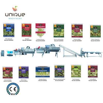 Ligne de lavage de la salade de légumes et de fruits avec une efficacité de traitement de 5000 kg