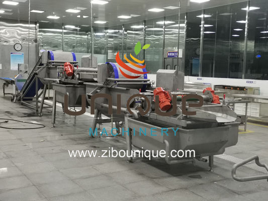 Ligne de lavage de la salade de légumes et de fruits avec une efficacité de traitement de 5000 kg