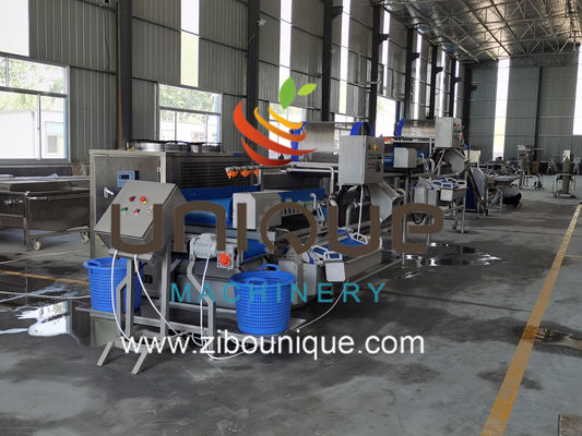 Utilisation commerciale Ligne de lavage du thé vert pour le traitement des feuilles de thé du Myanmar de Zibounique