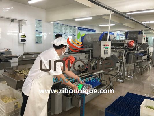 Utilisation commerciale Ligne de lavage du thé vert pour le traitement des feuilles de thé du Myanmar de Zibounique