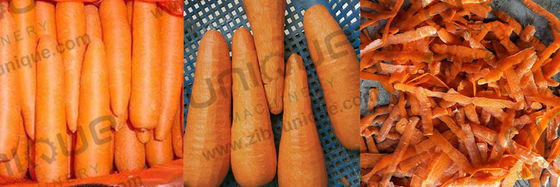 Technologie machine à éplucher les carottes Daikon Blade Équipement pour cuisine centrale