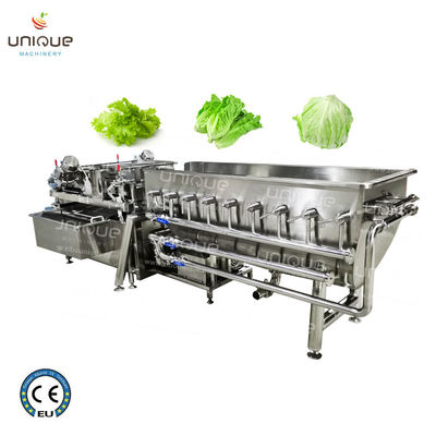 Ligne de production de légumes à feuilles en acier inoxydable 316 2021 pour machine à laver le chou