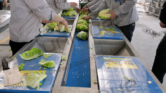 Ligne de lavage de la salade de légumes et de fruits avec une efficacité de traitement de 5000 kg