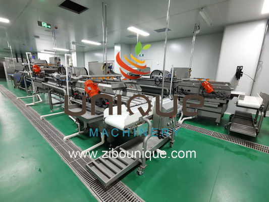 Ligne de lavage de la salade de légumes et de fruits avec une efficacité de traitement de 5000 kg