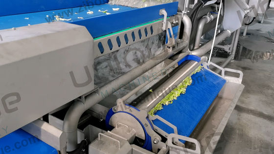 Machinerie de coupe de légumes, de chou, de laitue, de lavage et de transformation à haute capacité 2000 kg/h