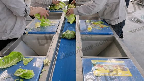 Table de transport et de cueillette de légumes en acier inoxydable polyvalent pour les hôtels 220v/380v