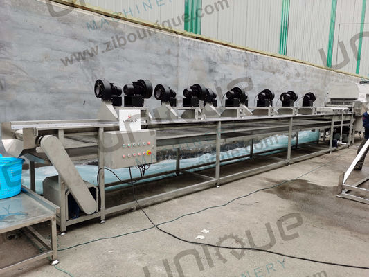 Machine de nettoyage de dattes à tension personnalisée pour le lavage des prunes et des produits frais