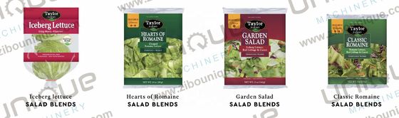 2000 kg/h Capacité Laveuse pour le nettoyage complet des légumes et des fruits