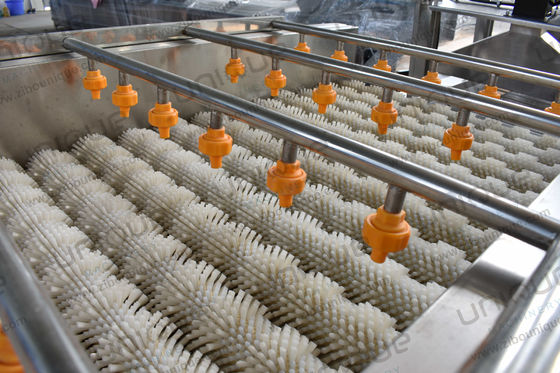Machine à laver à la brosse de nettoyage des légumes-racines en acier inoxydable 304