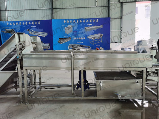 Machine à laver à rouleaux à brosses pour les légumes, les carottes, les pommes de terre et le gingembre