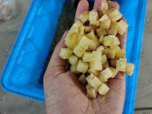 Machine à découper les pommes de terre machine à couper les légumes industriels à tension personnalisée