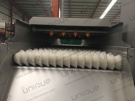 Machine à laver à la brosse de nettoyage des légumes-racines en acier inoxydable 304