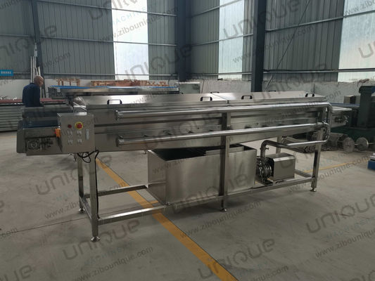 450 KG Oignon vert poireau haute pression pulvérisation machine à laver à bas prix