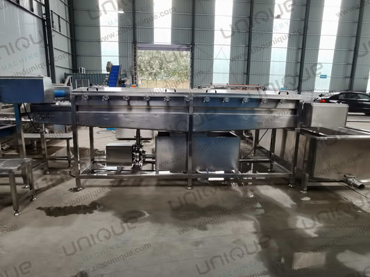 450 KG Oignon vert poireau haute pression pulvérisation machine à laver à bas prix