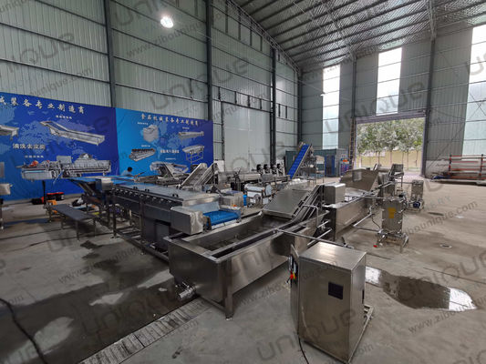 450 KG Oignon vert poireau haute pression pulvérisation machine à laver à bas prix