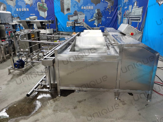 Vente directe de machines à laver les fruits et légumes à tension personnalisée