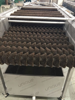 Machine à laver à rouleaux à brosses pour les légumes, les carottes, les pommes de terre et le gingembre