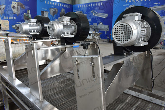 Conveyeur à bande à rouleaux à air chaud à maillage, ventilateurs haute pression, sèche-air pour fruits et légumes