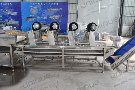 Conveyeur à bande à rouleaux à air chaud à maillage, ventilateurs haute pression, sèche-air pour fruits et légumes