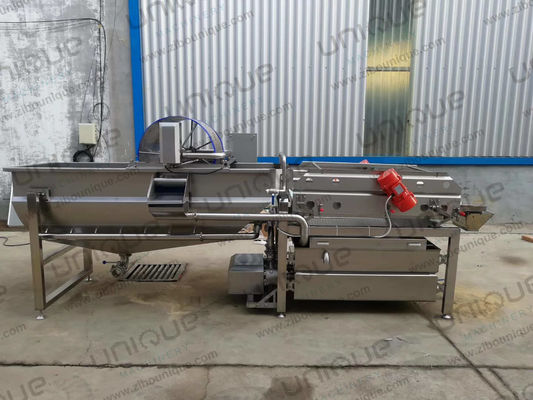 220v/ 380v/ Laveuse à hélice de salade personnalisée pour les fermes