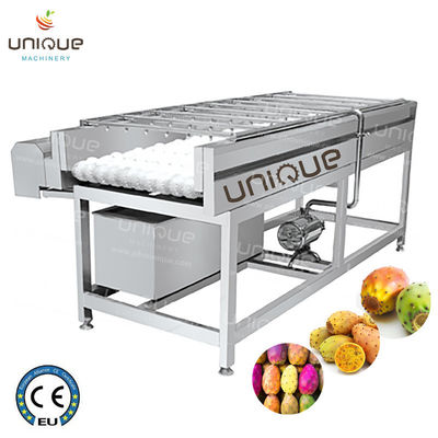 Machine de nettoyage de lavage et de polissage de fruits de poire avec acier inoxydable 304