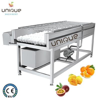 Machine de nettoyage de lavage et de polissage de fruits de poire avec acier inoxydable 304