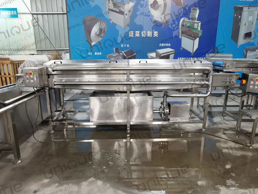 Machine à laver à haute pression au gingembre au curcuma Taro Yam Malanga à pulvérisation