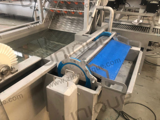 304 Bulle d'air en acier inoxydable Laitue Tomate Fraise Légumineuse Fruit Nettoyeur