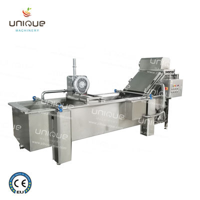 Ligne de lavage à bulles de légumes à feuilles de 850 kg de capacité pour la production d'usines de fabrication