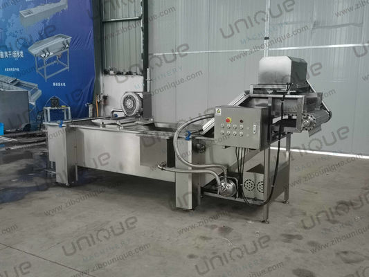 Ligne de lavage à bulles de légumes à feuilles de 850 kg de capacité pour la production d'usines de fabrication