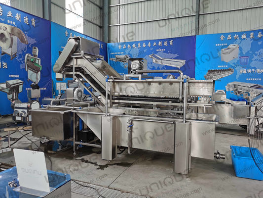 Ligne de lavage à bulles de légumes à feuilles de 850 kg de capacité pour la production d'usines de fabrication